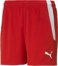 PUMA Sorturi Puma teamLIGA Shorts W 70493601 Marime L (70493601)