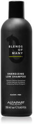 ALFAPARF Milano Alfaparf Sampon anticadere pentru barbati Blends Of Many Energizing Low 250ml (PF018566)