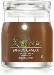 Yankee Candle Signature Praline Birch 368 g