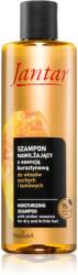 Farmona Natural Cosmetics Laboratory Jantar Amber Essence sampon hidratant pentru par uscat 300 ml
