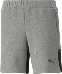 PUMA Sorturi Puma teamCUP Casuals Shorts Wmn 658423-013 Marime L (658423-013)