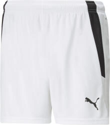 PUMA Sorturi Puma teamLIGA Shorts W 70493604 Marime L (70493604)