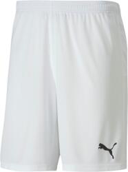 PUMA Sorturi Puma teamGOAL 23 knit Shorts 704379-004 Marime L (704379-004)