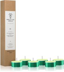 Smells Like Spells Norse Magic Eir lumânare (healing/health) 6 buc
