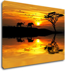Impresi Tablou Safari sunset - 70 x 50 cm