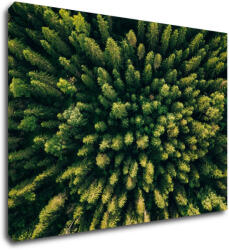Impresi Tablou Forest - 70 x 50 cm