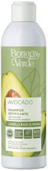 Bottega Verde Sampon pentru par cret sau ondulat cu extract de avocado, 250ml, Bottega Verde