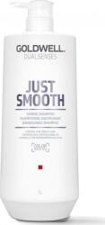 Goldwell Dualsenses Just Smooth Taming Sampon de par Pentru Hidratăre & Pentru Netezire Păr Vopsit 1000ml