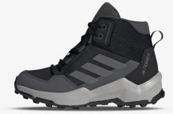 adidas Pantofi Terrex AX4R