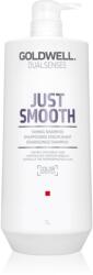 Goldwell Dualsenses Just Smooth sampon pentru indreptarea parului pentru par indisciplinat 1000 ml