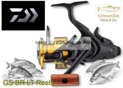 Daiwa GS BR LT 4000-C (10144-400)