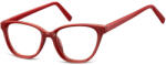 Berkeley ochelari protecție calculator AC394E (C10N SO AC394E 50) Rama ochelari