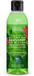 Barwa Natural, șampon de cactus pentru păr uscat și normal, hidratant, 300 ml