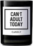 Candly - Lumanare parfumata de soia Can't adult today 250 g 99KK-AKU11N_99X (No1CAT)