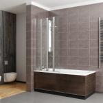 Radaway Paravan pentru cada de baie, Radaway Eos PNW 1205401-101 PNW 4 (1205401-101 PNW 4)